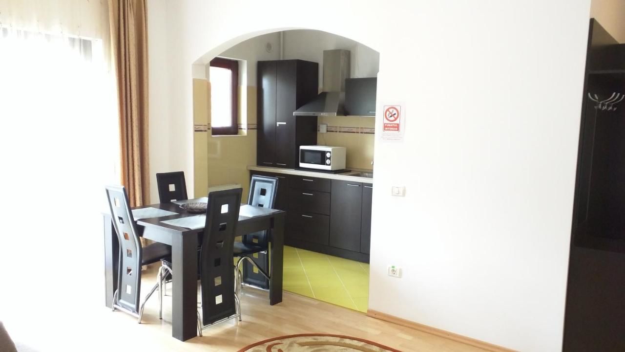 Апарт-отели Hotel Silvia Apart Sinaia Синая-19