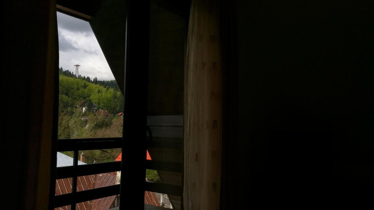 Апарт-отели Hotel Silvia Apart Sinaia Синая-26