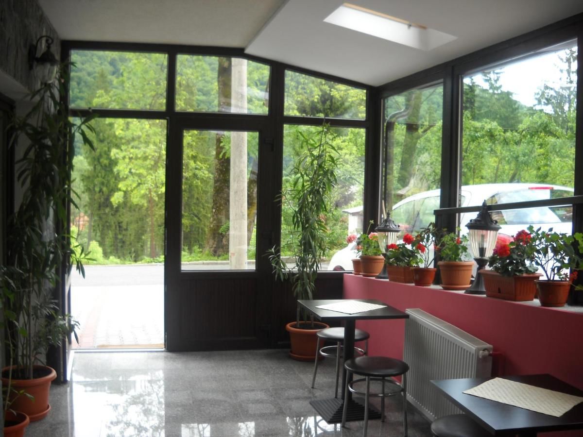Апарт-отели Hotel Silvia Apart Sinaia Синая