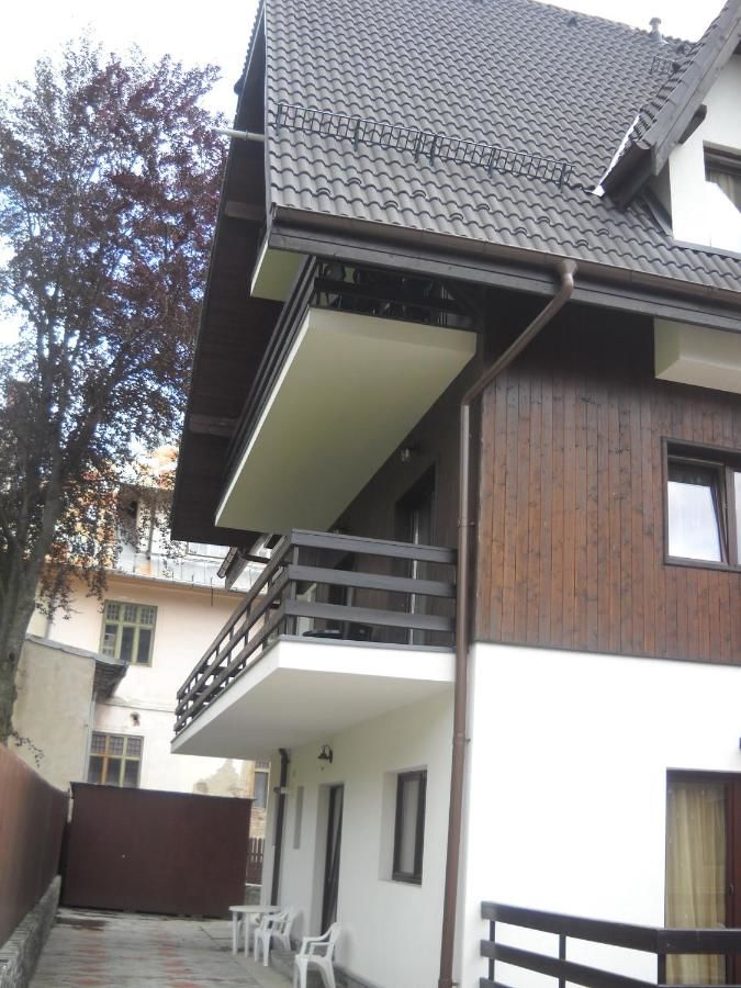Апарт-отели Hotel Silvia Apart Sinaia Синая-48