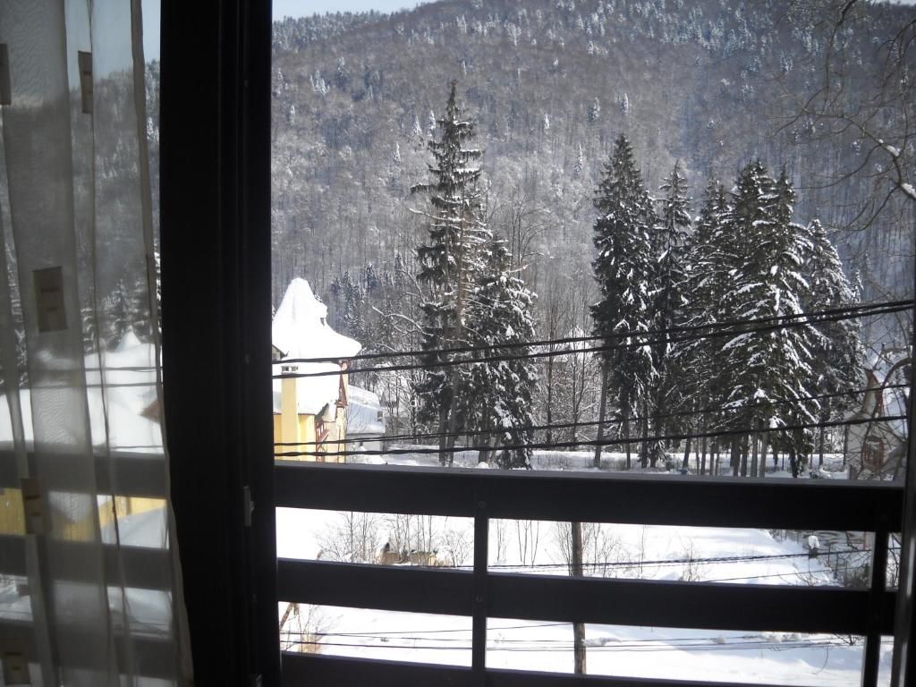 Апарт-отели Hotel Silvia Apart Sinaia Синая