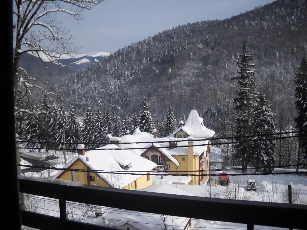 Апарт-отели Hotel Silvia Apart Sinaia Синая