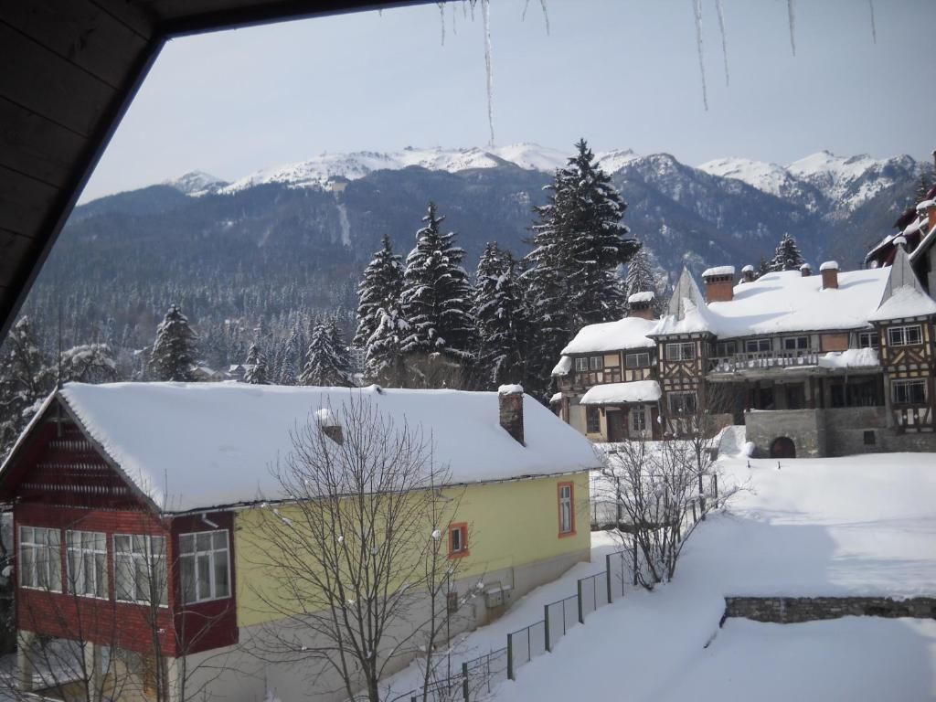 Апарт-отели Hotel Silvia Apart Sinaia Синая