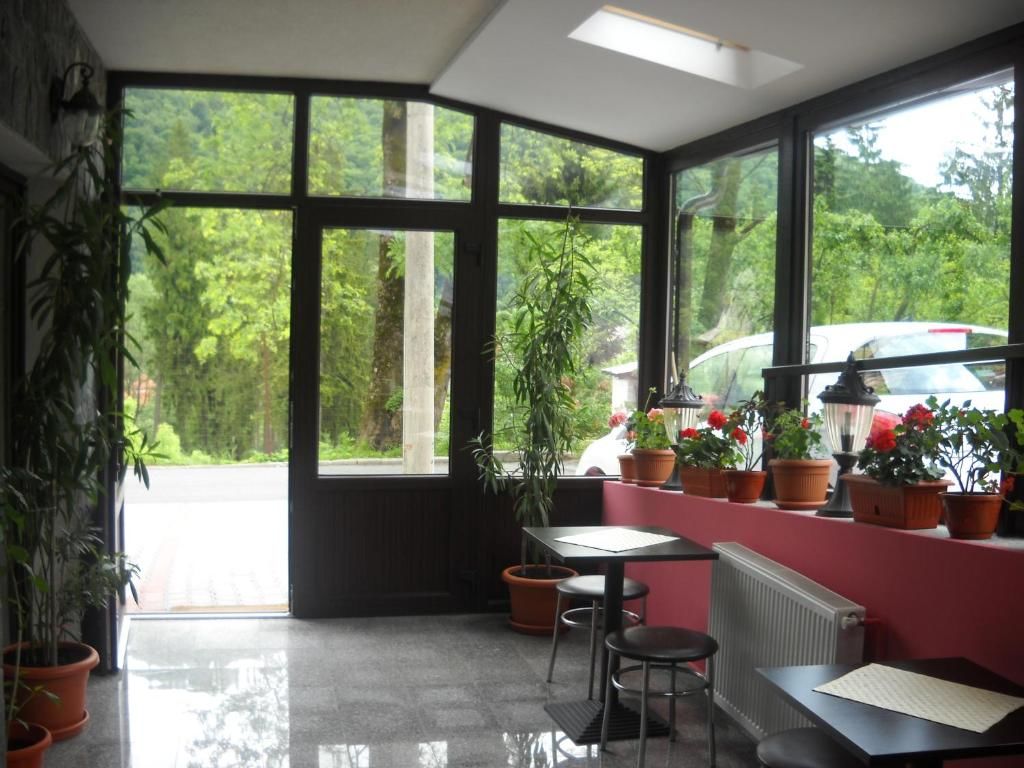 Апарт-отели Hotel Silvia Apart Sinaia Синая