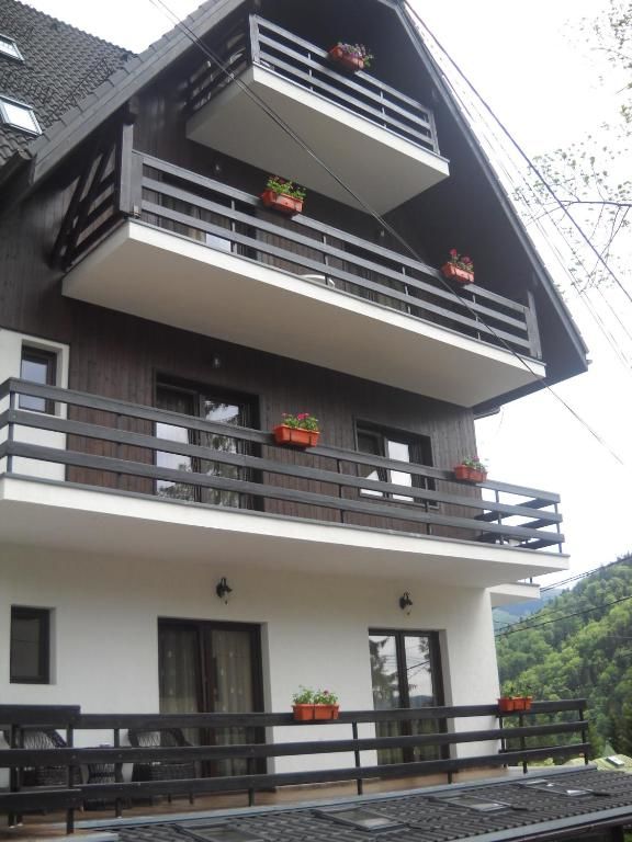 Апарт-отели Hotel Silvia Apart Sinaia Синая