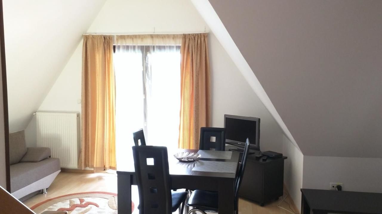 Апарт-отели Hotel Silvia Apart Sinaia Синая-9