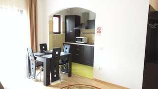 Апарт-отели Hotel Silvia Apart Sinaia Синая Апартаменты с 1 спальней-3
