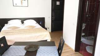 Апарт-отели Hotel Silvia Apart Sinaia Синая Номер-студио-2