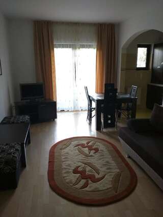 Апарт-отели Hotel Silvia Apart Sinaia Синая Апартаменты с 1 спальней-6