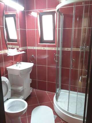 Апарт-отели Hotel Silvia Apart Sinaia Синая Апартаменты с 1 спальней-7