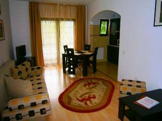 Апарт-отели Hotel Silvia Apart Sinaia Синая Апартаменты с 1 спальней-14