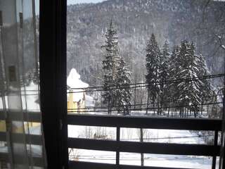 Апарт-отели Hotel Silvia Apart Sinaia Синая Номер-студио-14