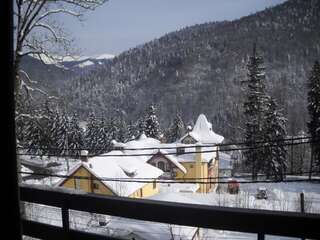 Апарт-отели Hotel Silvia Apart Sinaia Синая Номер-студио-15
