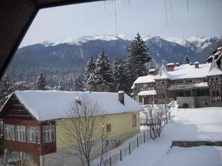Апарт-отели Hotel Silvia Apart Sinaia Синая Номер-студио-16