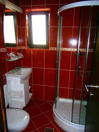 Апарт-отели Hotel Silvia Apart Sinaia Синая Номер-студио-17