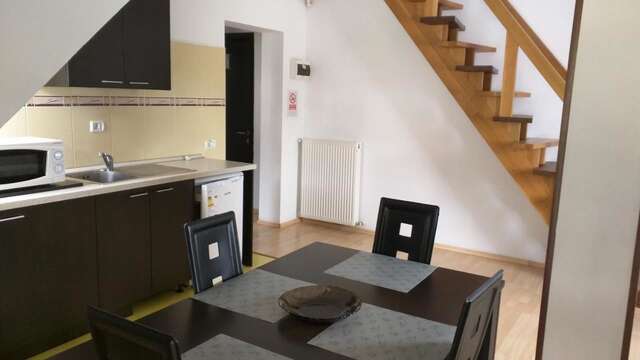 Апарт-отели Hotel Silvia Apart Sinaia Синая-14