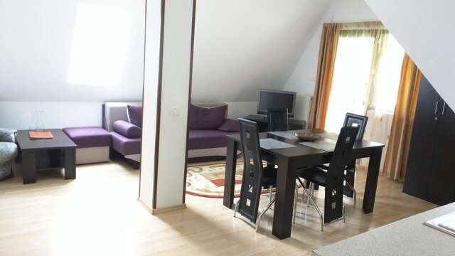 Апарт-отели Hotel Silvia Apart Sinaia Синая-15