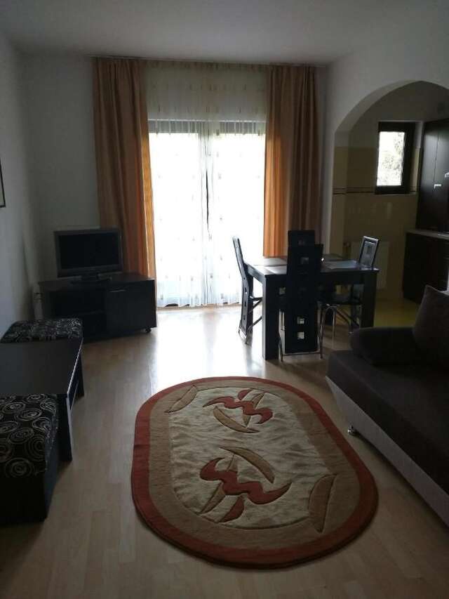 Апарт-отели Hotel Silvia Apart Sinaia Синая-29
