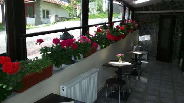 Апарт-отели Hotel Silvia Apart Sinaia Синая-5