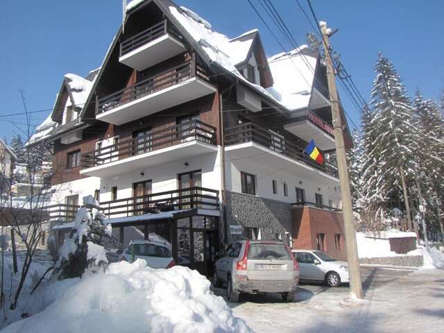 Апарт-отели Hotel Silvia Apart Sinaia Синая-36