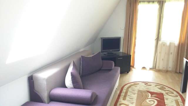 Апарт-отели Hotel Silvia Apart Sinaia Синая-6