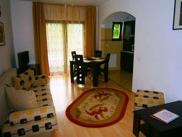 Апарт-отели Hotel Silvia Apart Sinaia Синая-42