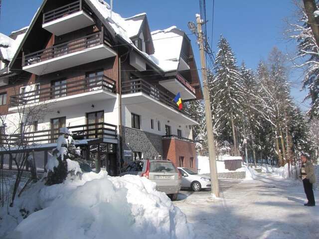 Апарт-отели Hotel Silvia Apart Sinaia Синая-45