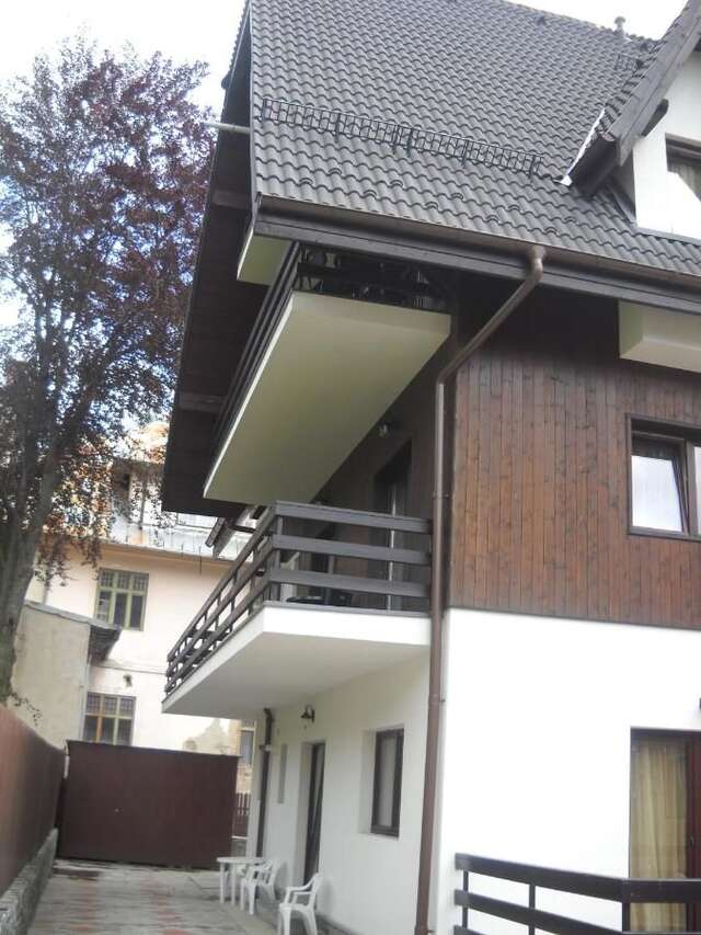 Апарт-отели Hotel Silvia Apart Sinaia Синая-47