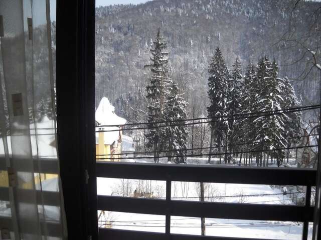 Апарт-отели Hotel Silvia Apart Sinaia Синая-52