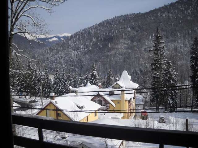Апарт-отели Hotel Silvia Apart Sinaia Синая-53