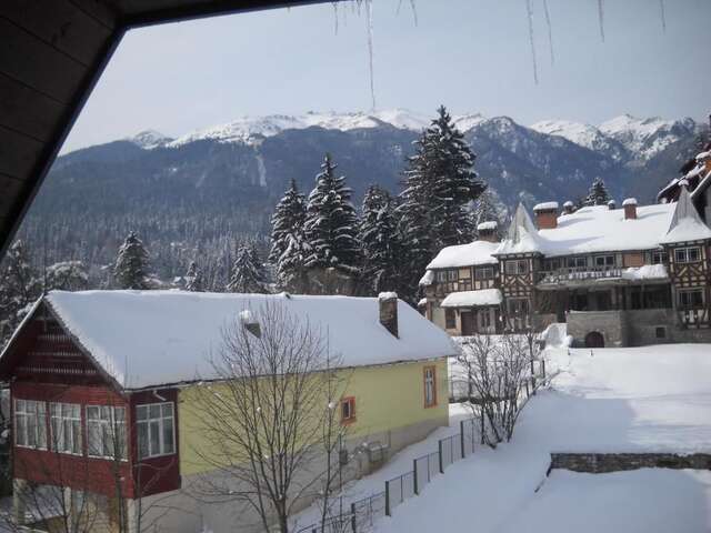 Апарт-отели Hotel Silvia Apart Sinaia Синая-54