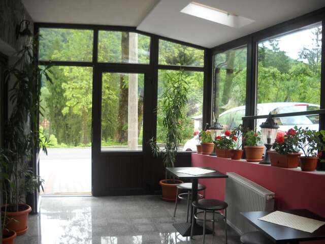 Апарт-отели Hotel Silvia Apart Sinaia Синая-58