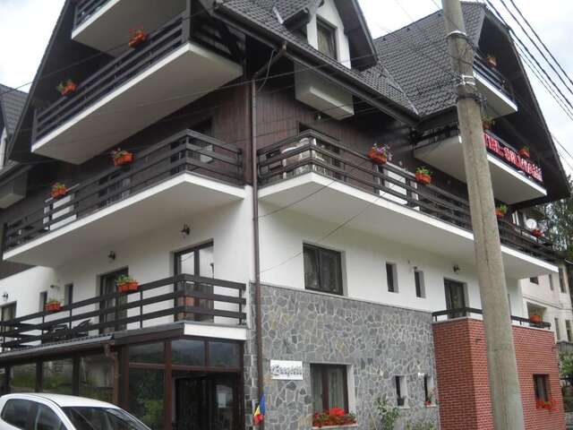 Апарт-отели Hotel Silvia Apart Sinaia Синая-60