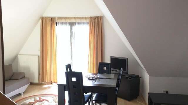 Апарт-отели Hotel Silvia Apart Sinaia Синая-8