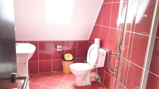 Апарт-отели Hotel Silvia Apart Sinaia Синая-10